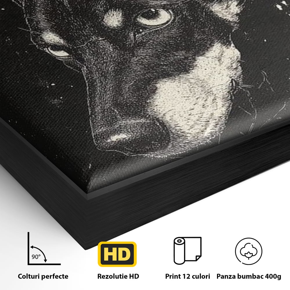 Detaliu al suprafetei: tablou canvas cu portret de caine, in rama de aluminiu negru